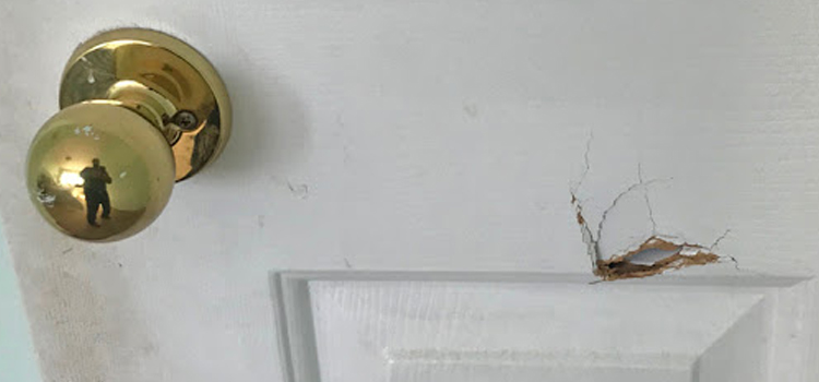 interior door hole repair Glen Avon