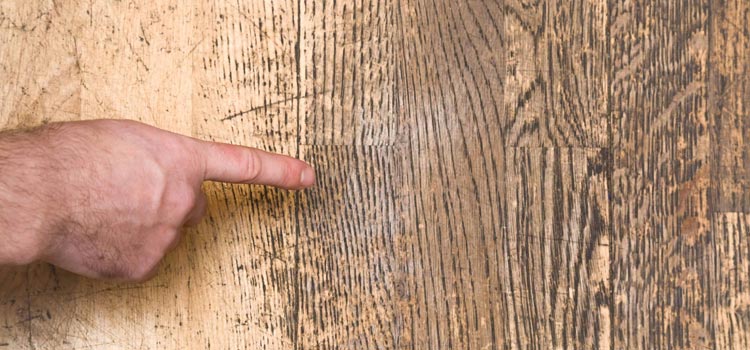 Wood Door Scratch Repair in Glen Avon